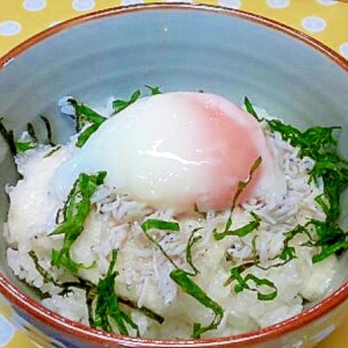 長芋＆しらす＆温泉卵の丼